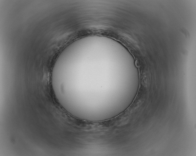 X0000113551061200910091259