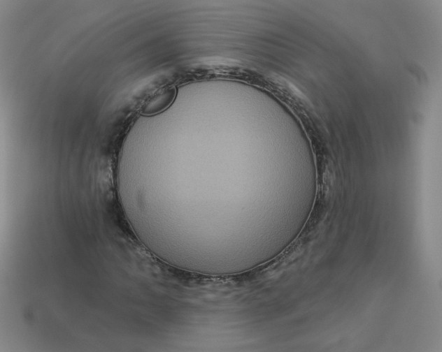 X0000113551062200910091259