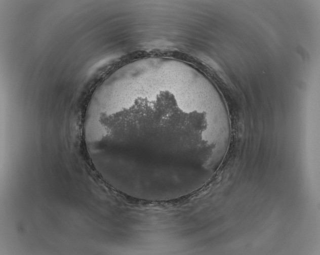 X0000113551063200910091259