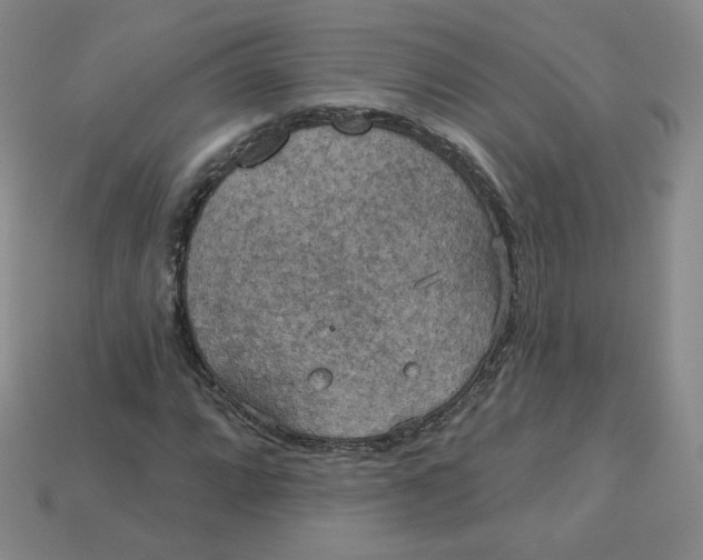 X0000113551064200910091259