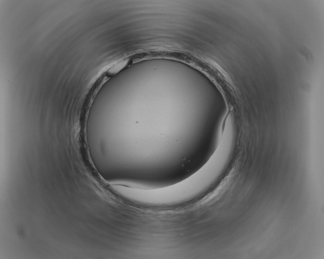 X0000113551065200910091259