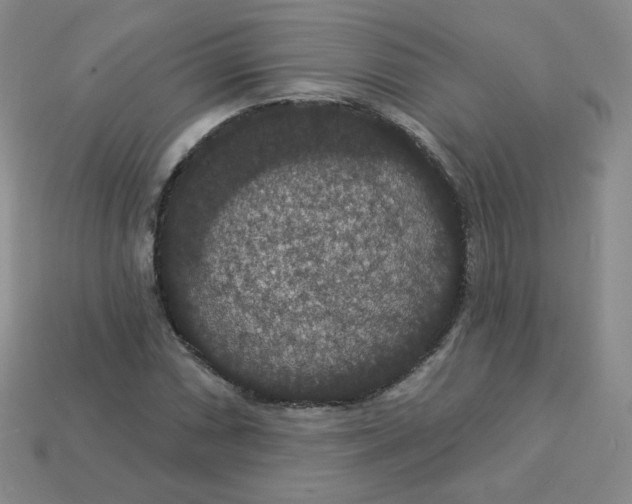 X0000113551066200910091259