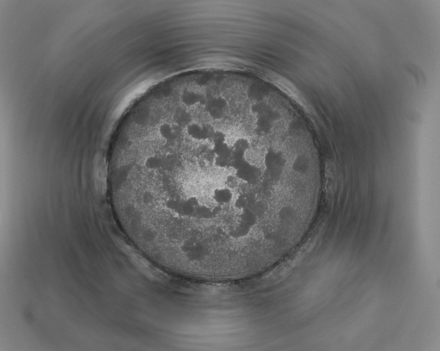 X0000113551067200910091259