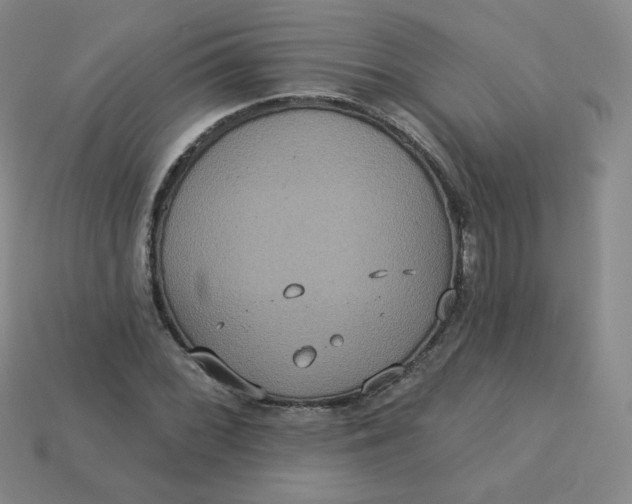 X0000113551068200910091259