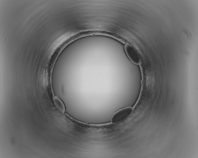 X0000113551069200910091259