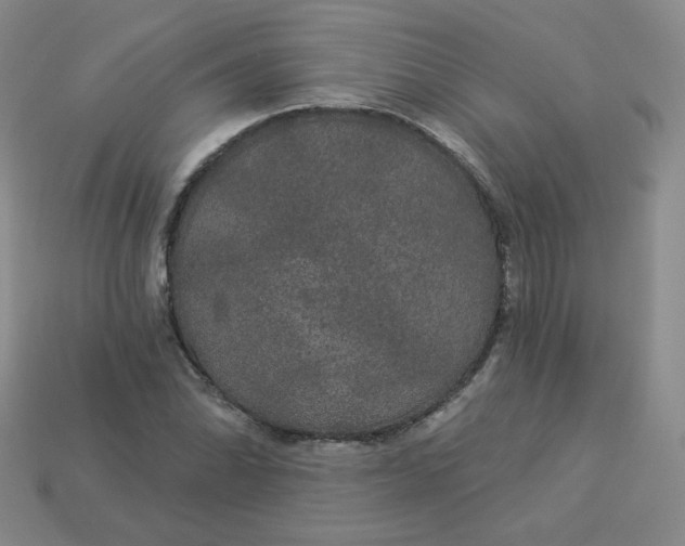 X0000113551070200910091259