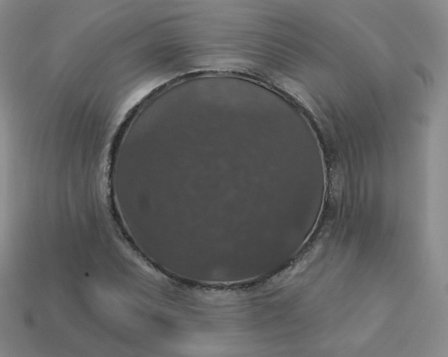 X0000113551071200910091259