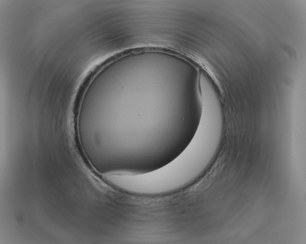 X0000113551072200910091259