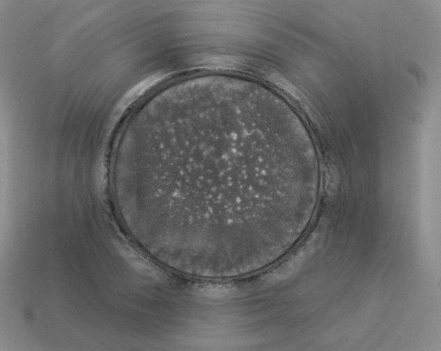 X0000113551074200910091259