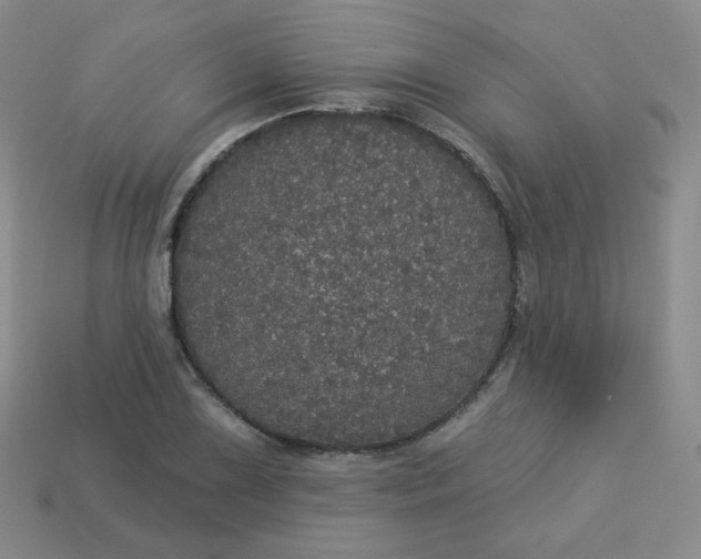 X0000113551075200910091259