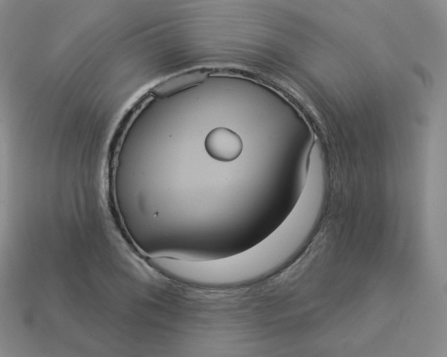 X0000113551076200910091259