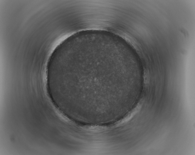 X0000113551077200910091259