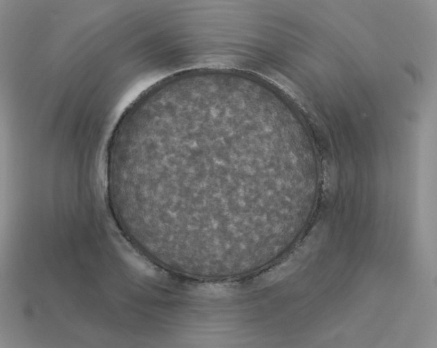 X0000113551078200910091259