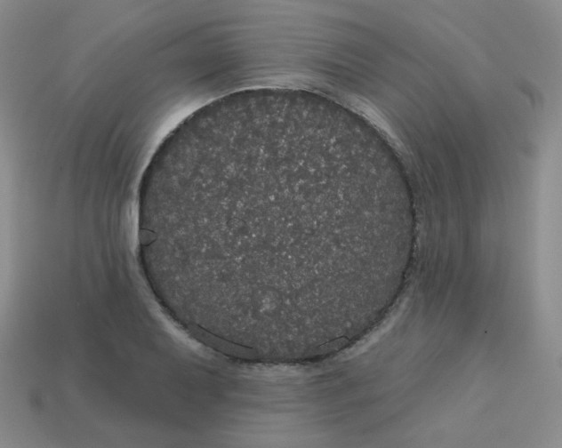 X0000113551079200910091259