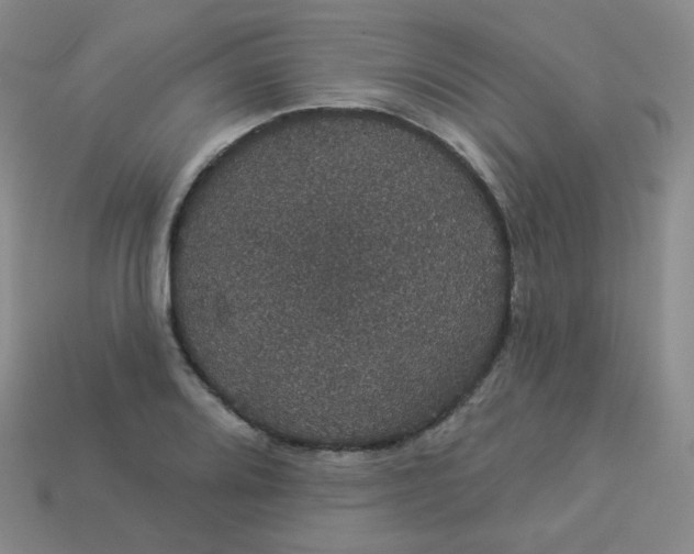 X0000113551080200910091259