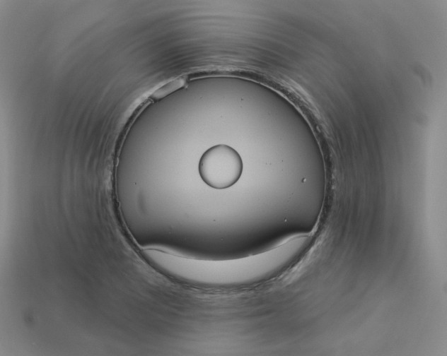 X0000113551081200910091259