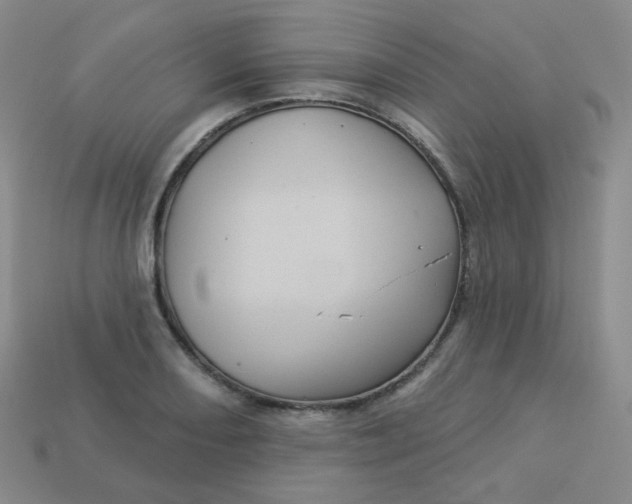 X0000113551082200910091259