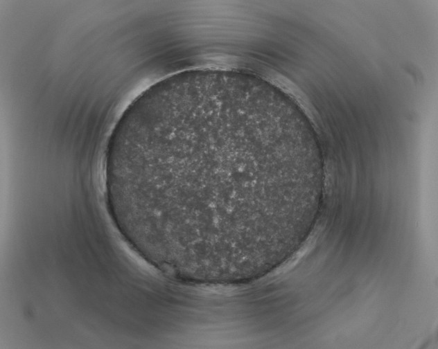 X0000113551083200910091259