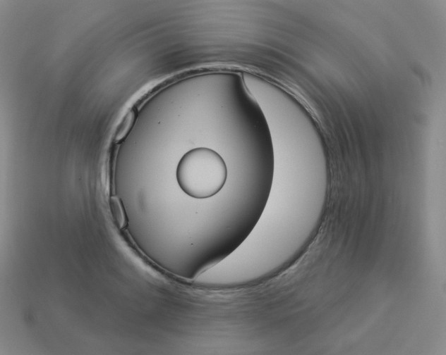 X0000113551084200910091259