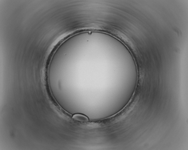 X0000113551085200910091259