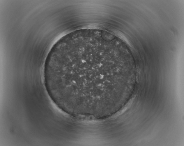 X0000113551087200910091259