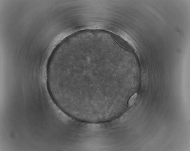 X0000113551088200910091259