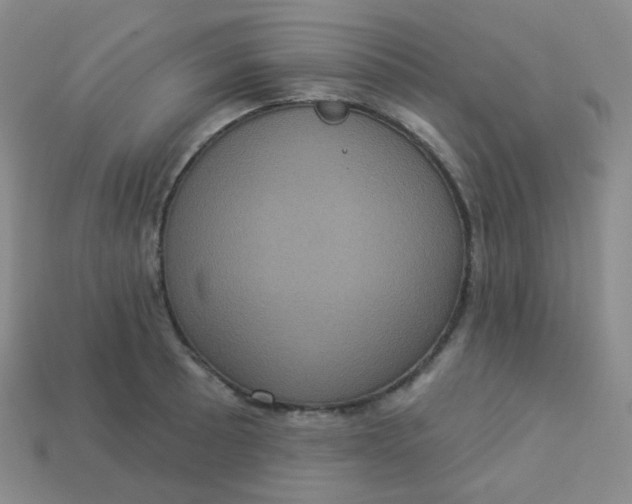 X0000113551089200910091259