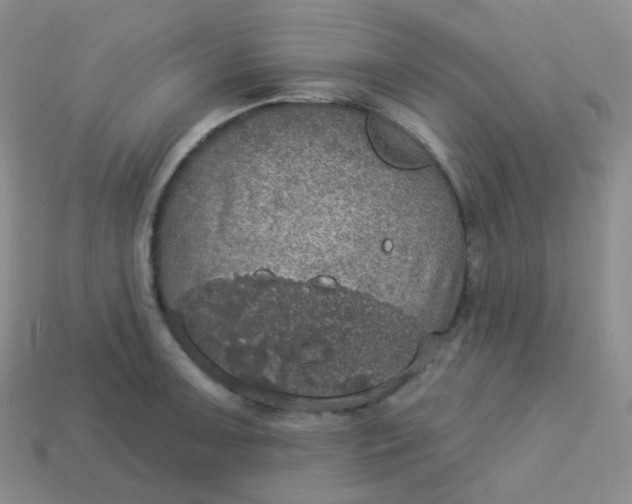 X0000113551091200910091259