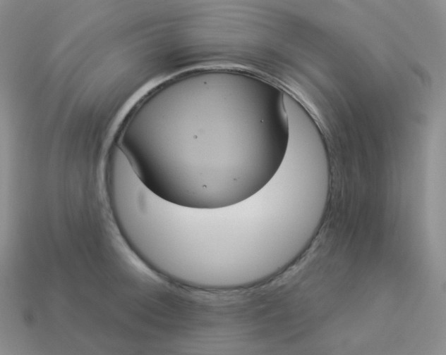 X0000113551092200910091259