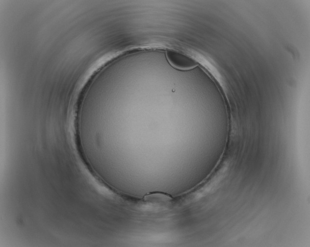 X0000113551093200910091259