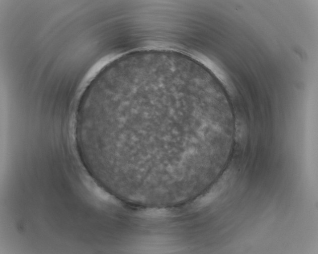 X0000113551094200910091259