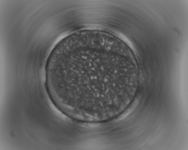 X0000113551095200910091259