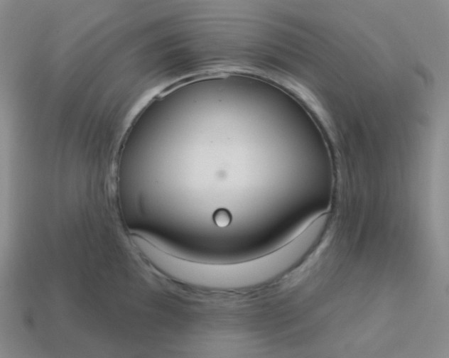 X0000113551097200910091259