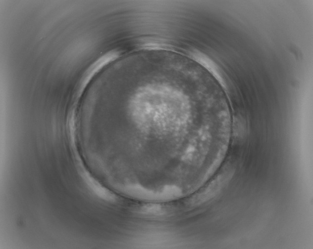 X0000113551098200910091259