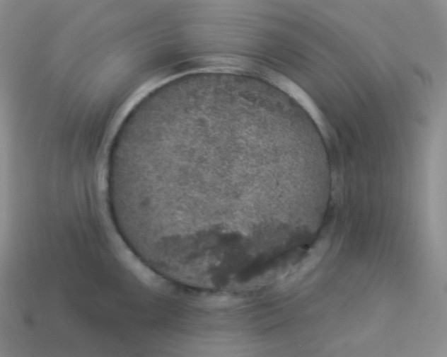 X0000113551099200910091259