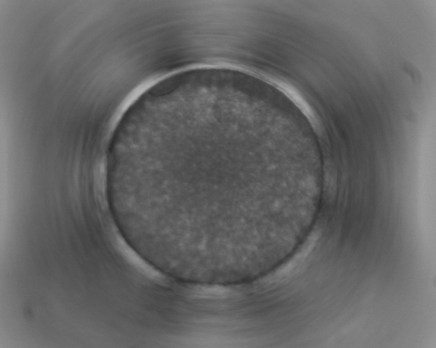 X0000113551100200910091259