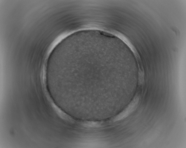 X0000113551101200910091259