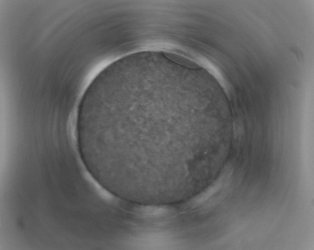 X0000113551103200910091259