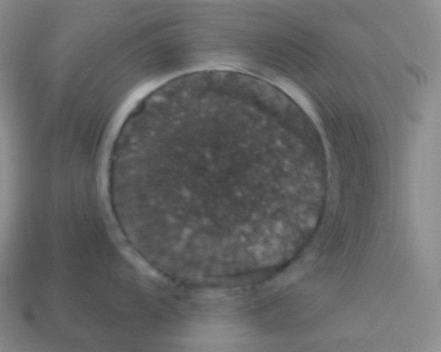 X0000113551104200910091259