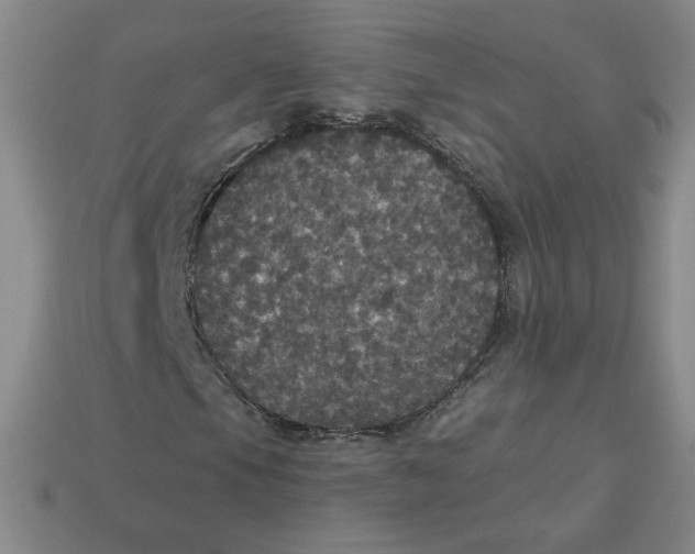 X0000113551105200910091258