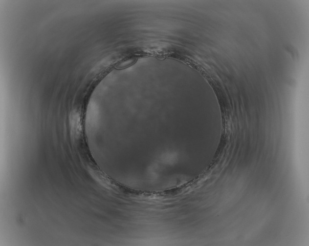 X0000113551106200910091258