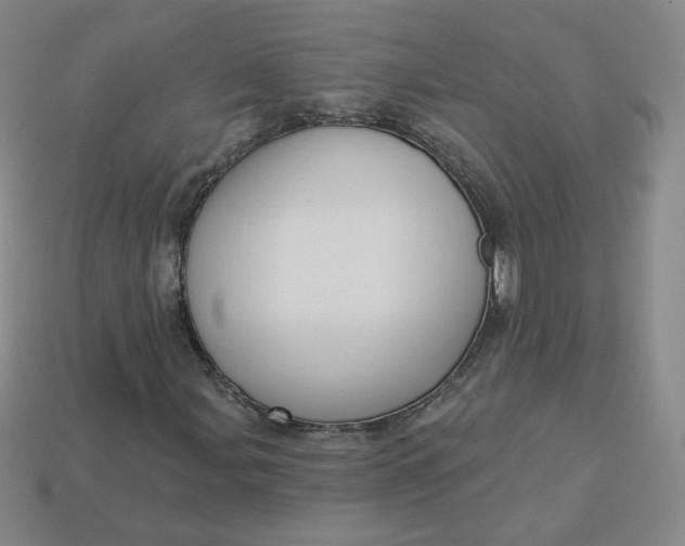 X0000113551107200910091258