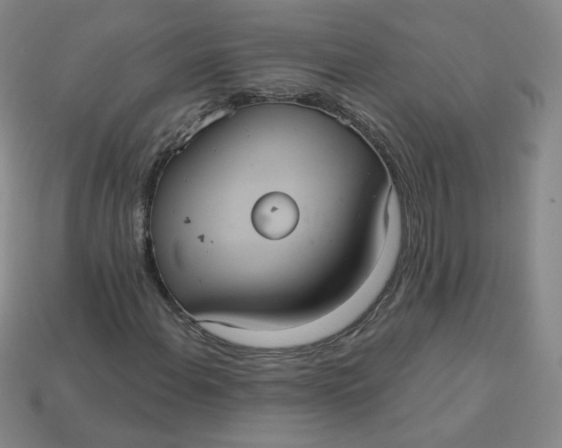 X0000113551108200910091258