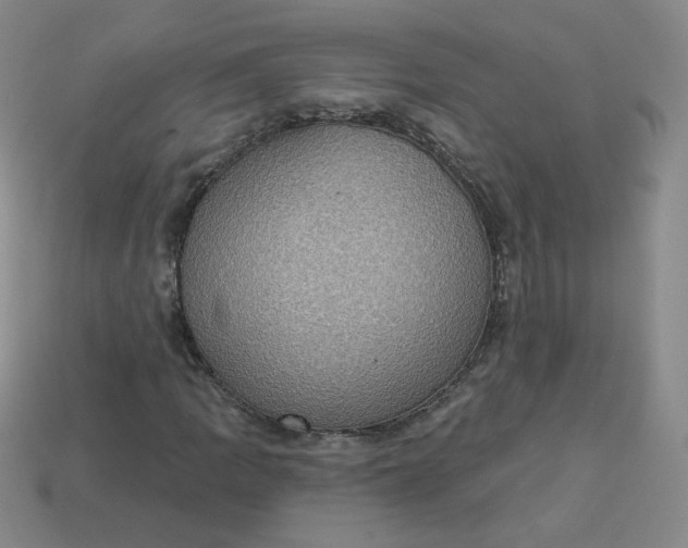 X0000113551109200910091258