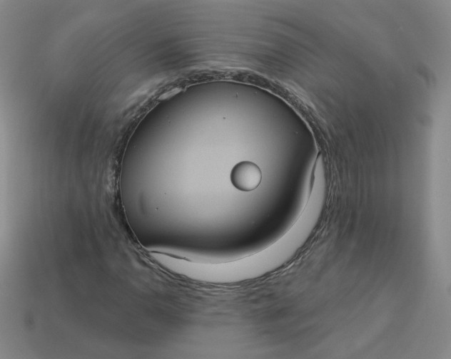 X0000113551110200910091258