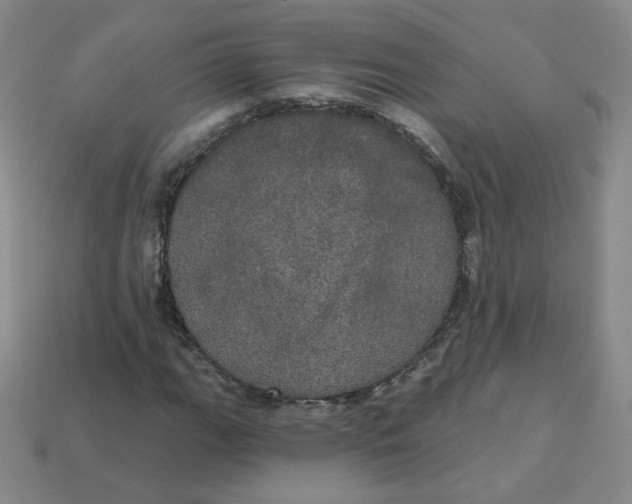 X0000113551111200910091258