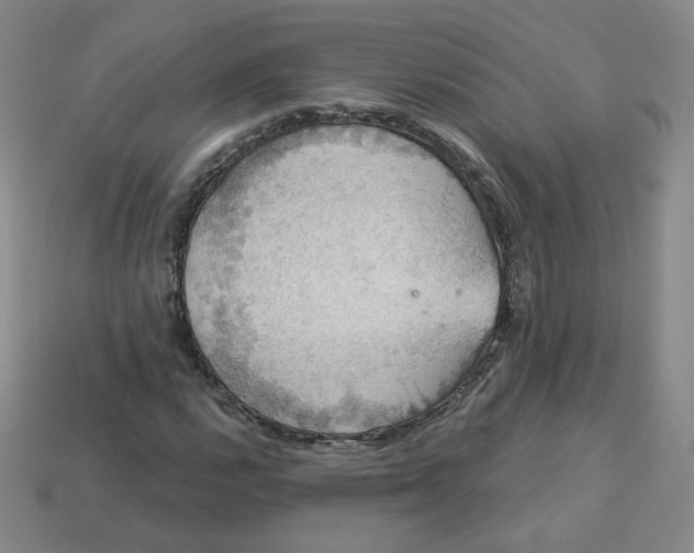 X0000113551112200910091258