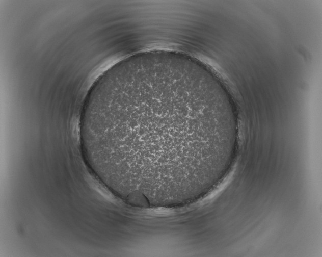 X0000113551113200910091258