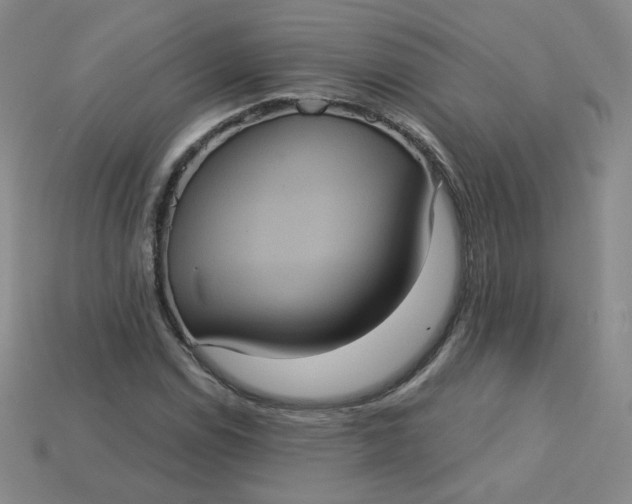 X0000113551114200910091258