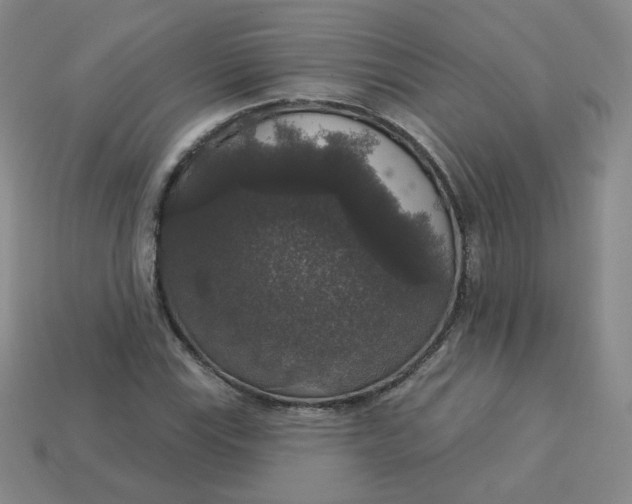 X0000113551115200910091258